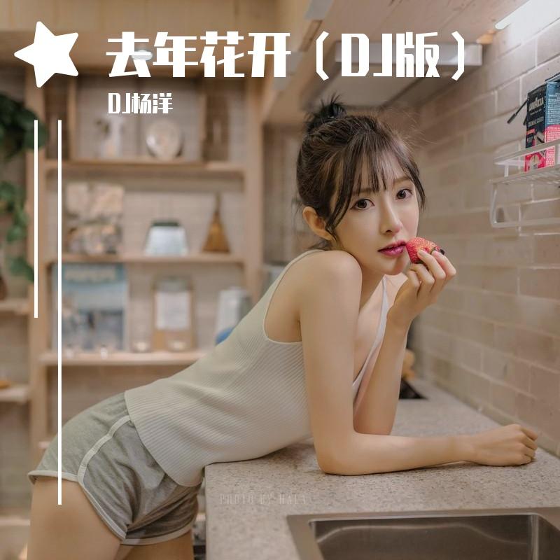 去年花开（DJ版）封面