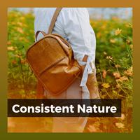 Consistent Nature