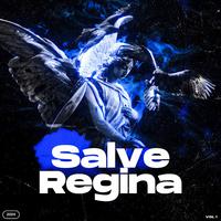 Salve Régina - Techno Remix