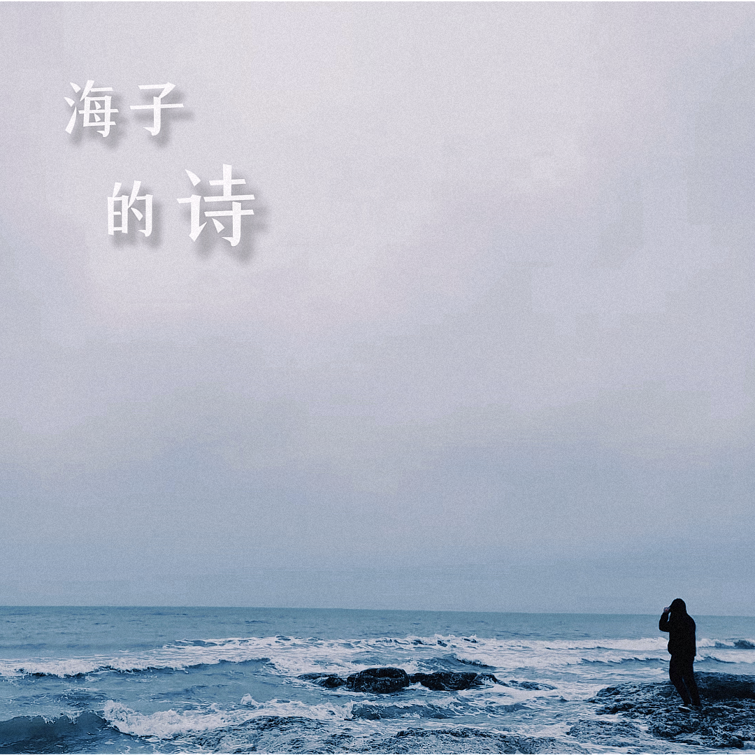 面朝大海 春暖花开封面
