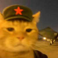 人民—藝術资料,人民—藝術最新歌曲,人民—藝術MV视频,人民—藝術音乐专辑,人民—藝術好听的歌