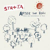 After The Rain (Dave Lee Alternative II Mix)