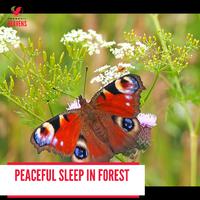 Peaceful Sleep in Forest