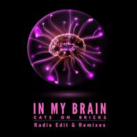 In My Brain (Radio Edit & Remixes)