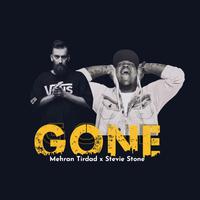 Gone (feat. Stevie Stone)