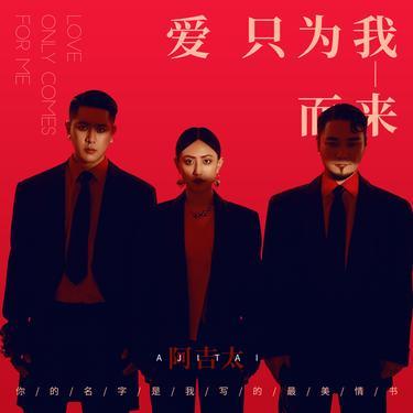 爱只为我而来封面