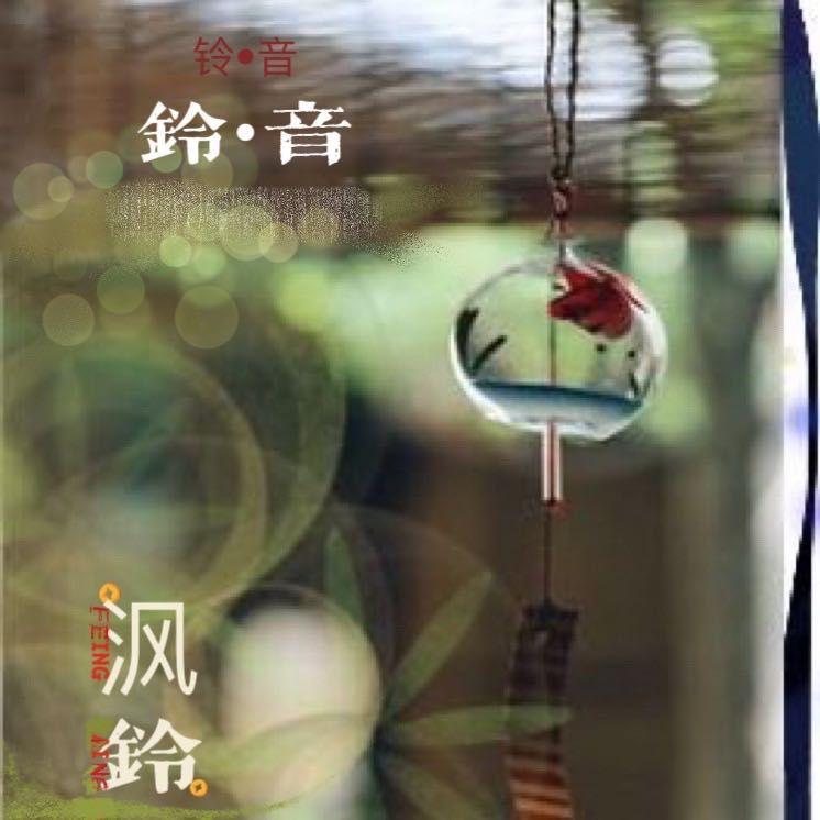 纵马江湖与君游封面