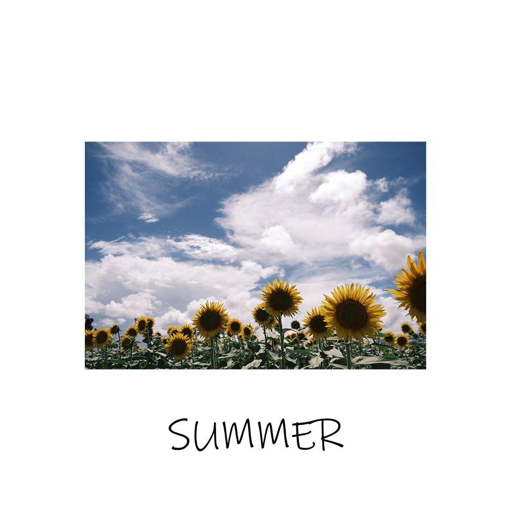 久石譲-Summer（BEST.X remix）