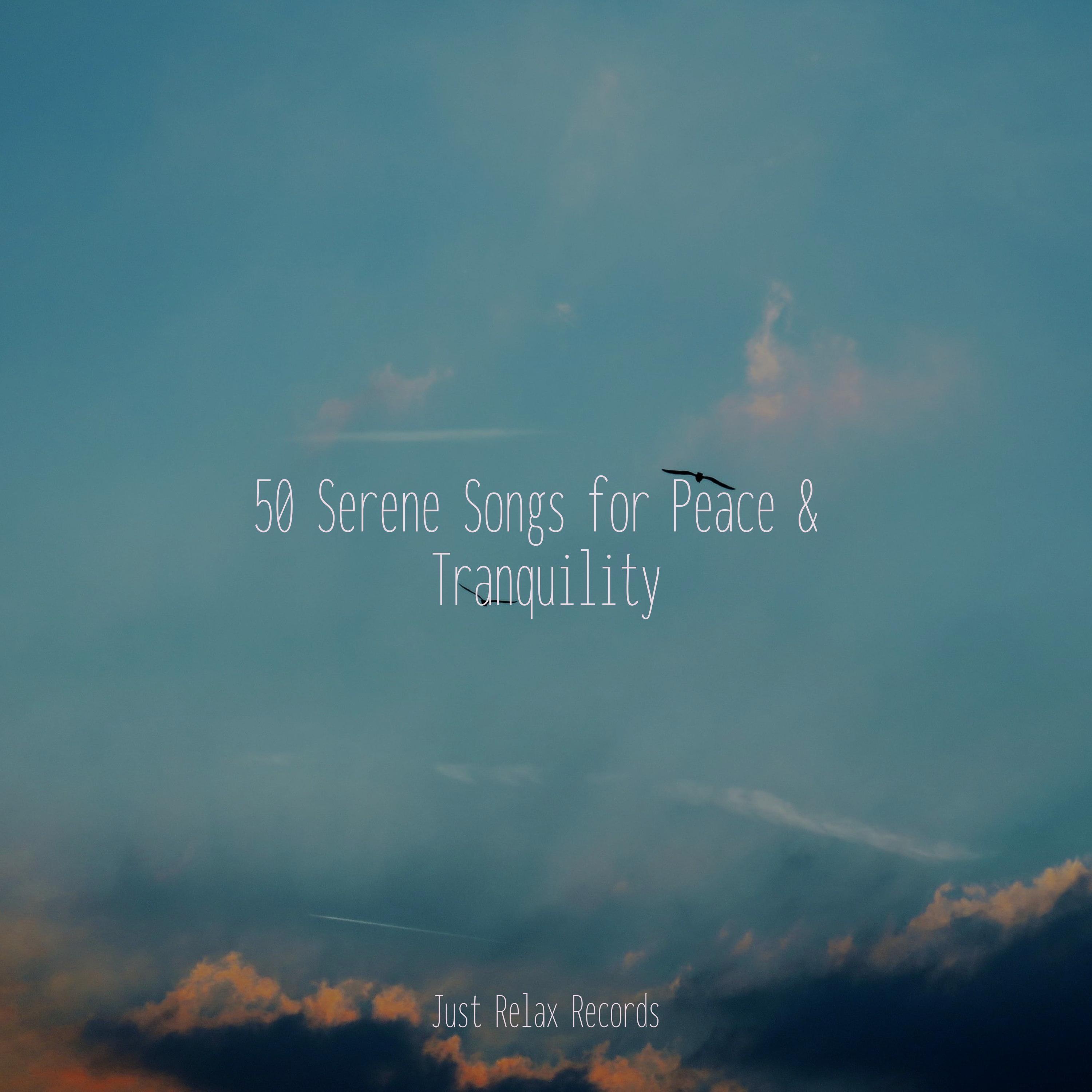 Radiant Rhythms Rising Zen/Shakuhachi Sakano/Musica Relajante 单曲