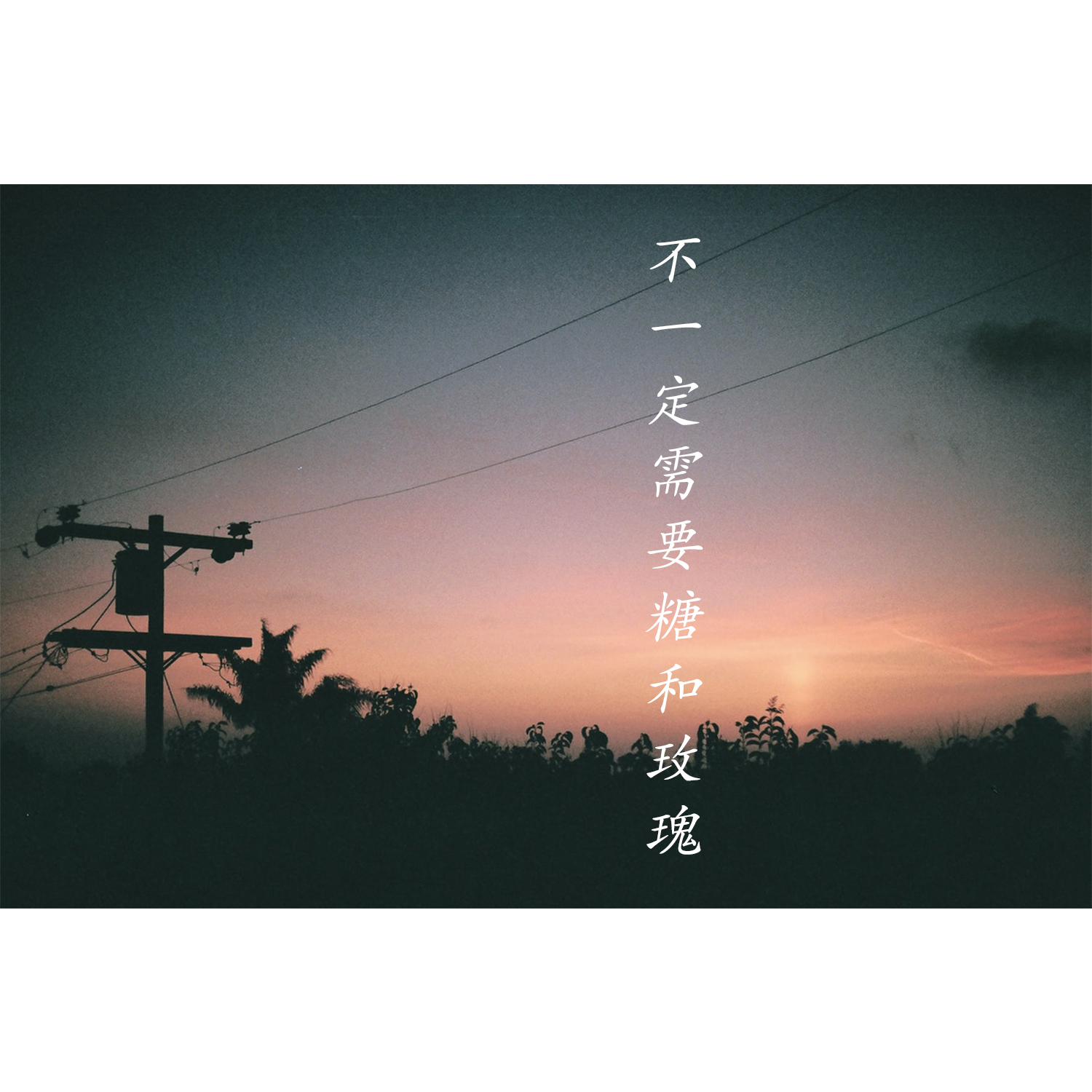 不一定需要糖和玫瑰封面