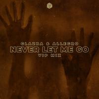 Never Let Me Go (VIP Mix)