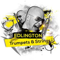 Trumpets & Strings (Remixes)