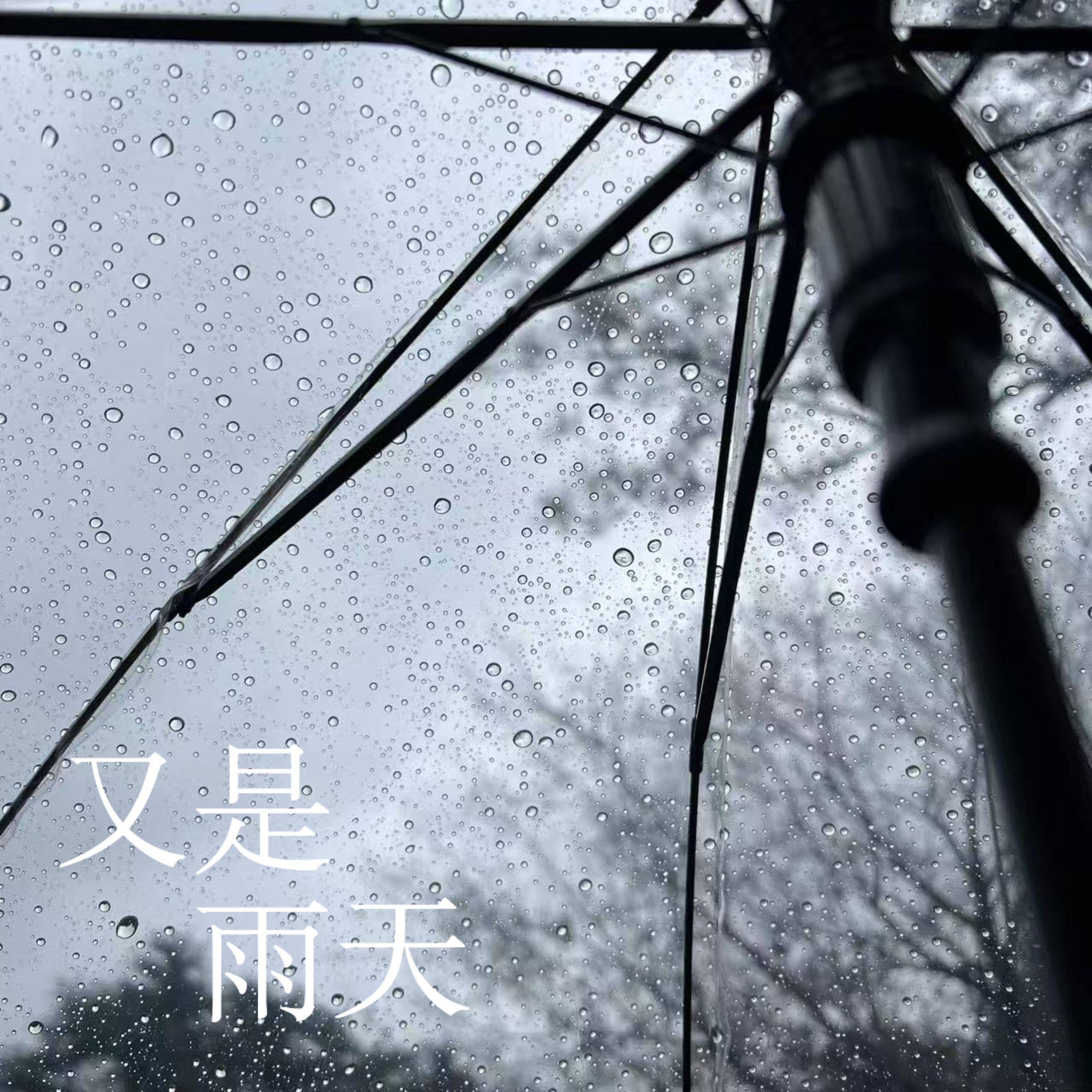 又是雨天封面