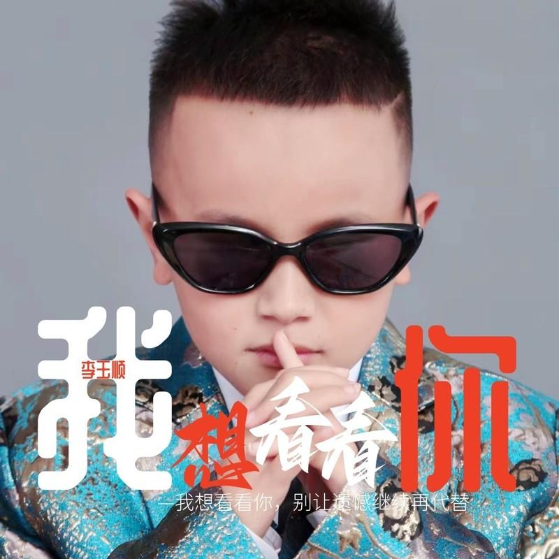 我想看看你 (伴奏)封面