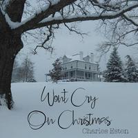 Won't Cry on Christmas