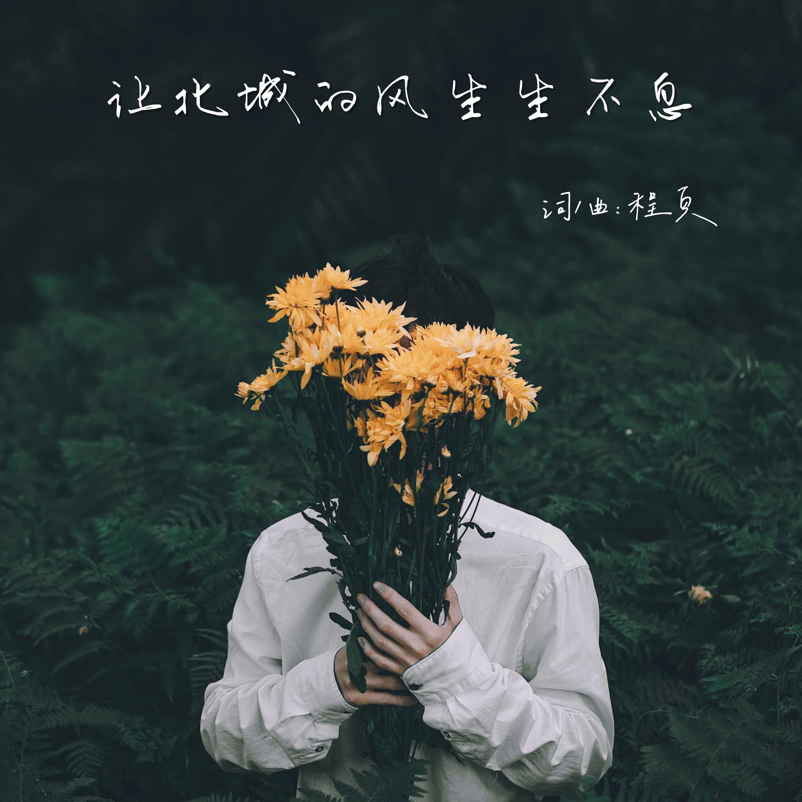 让北城的风生生不息封面