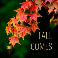 Fall Comes