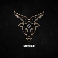 Capricorn