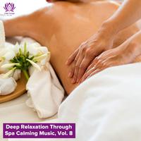 Deep Relaxation Through Spa Calming Music, Vol. 8