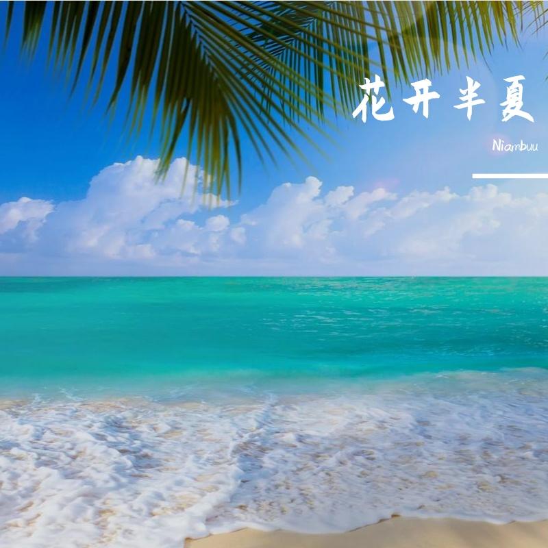 青春答卷封面