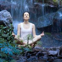 Nature's Waterfall Meditation Oasis: Bird Song's Calm and Peaceful Harmony