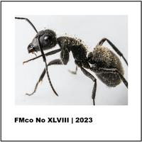 Fmco XLVIII