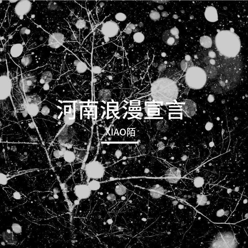 河南浪漫宣言（Live版） - THE SOXU_屿陌封面