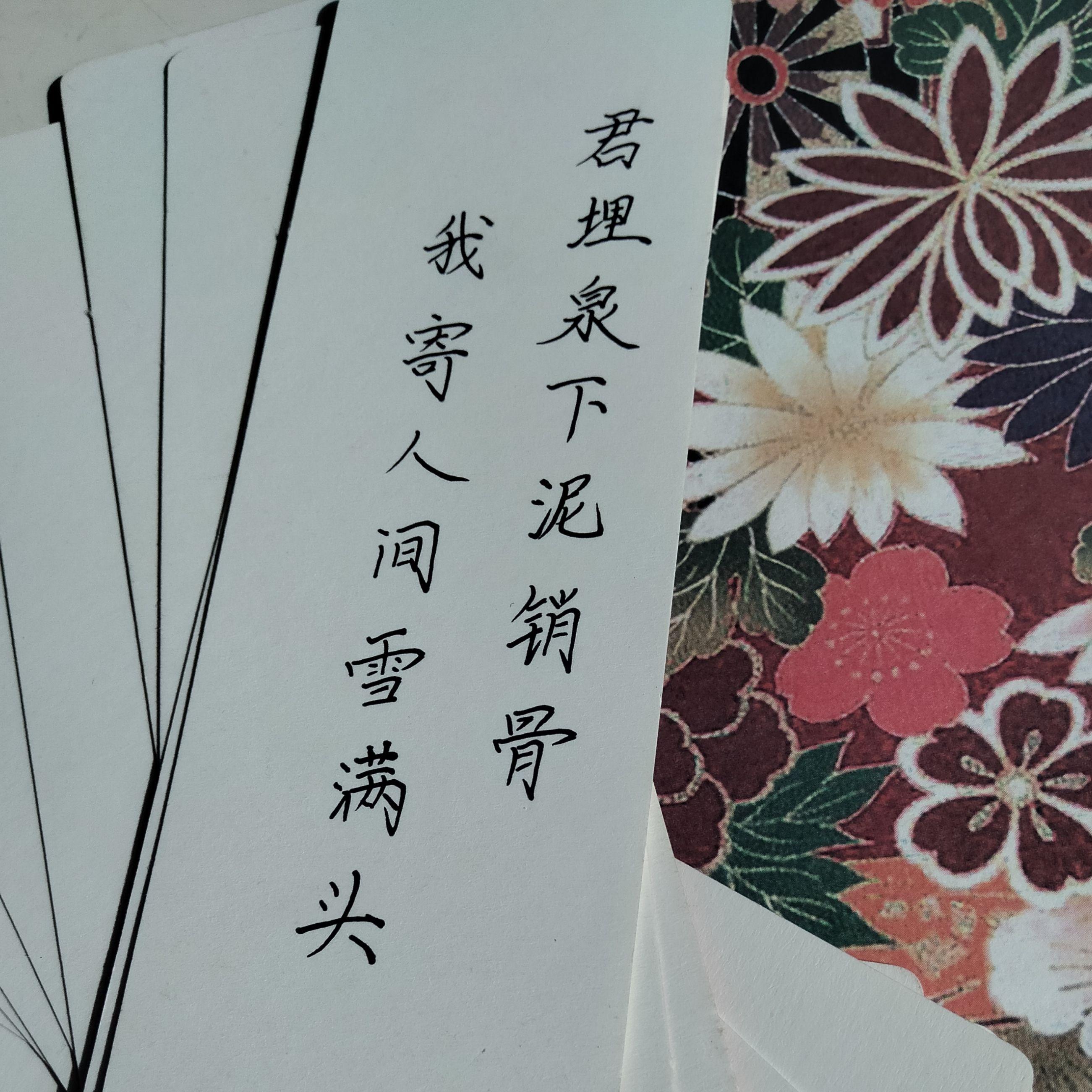 迢迢封面