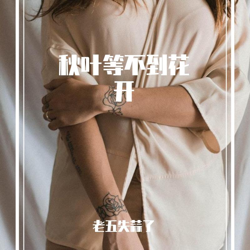 无价之姐封面