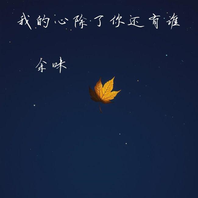 我的心除了你还有谁封面