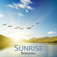 Sunrise Serenades: Sweet Birds Singing and Chirping from the Sky