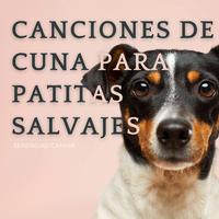 Canciones De Cuna Para Patitas Salvajes: Serenidad Canina