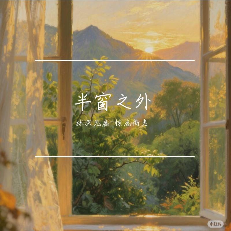 晚风与城市封面