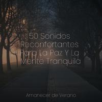 50 Sonidos Reconfortantes Para La Paz Y La Mente Tranquila