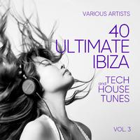 Ibiza (40 Ultimate Tech and House Tunes), Vol. 3