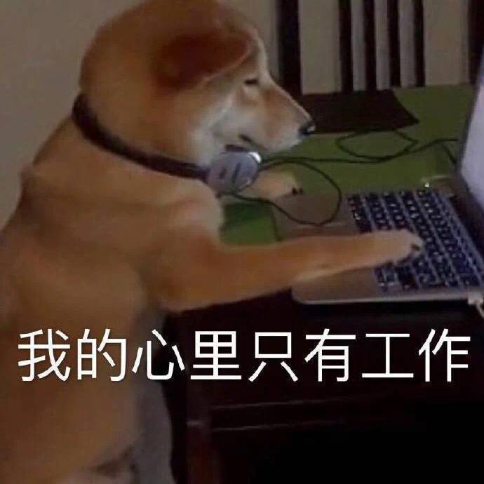 我真的不是舔狗Prod by Yzz封面