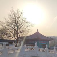 肉居住的街道资料,肉居住的街道最新歌曲,肉居住的街道MV视频,肉居住的街道音乐专辑,肉居住的街道好听的歌