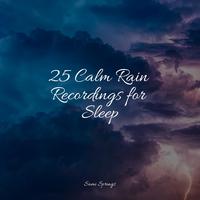 25 Calm Rain Recordings for Sleep