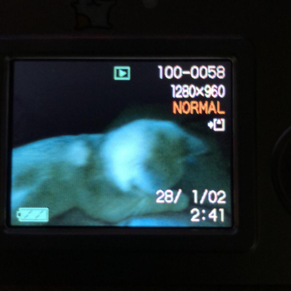 why ._:P（feat. Viksauce ）