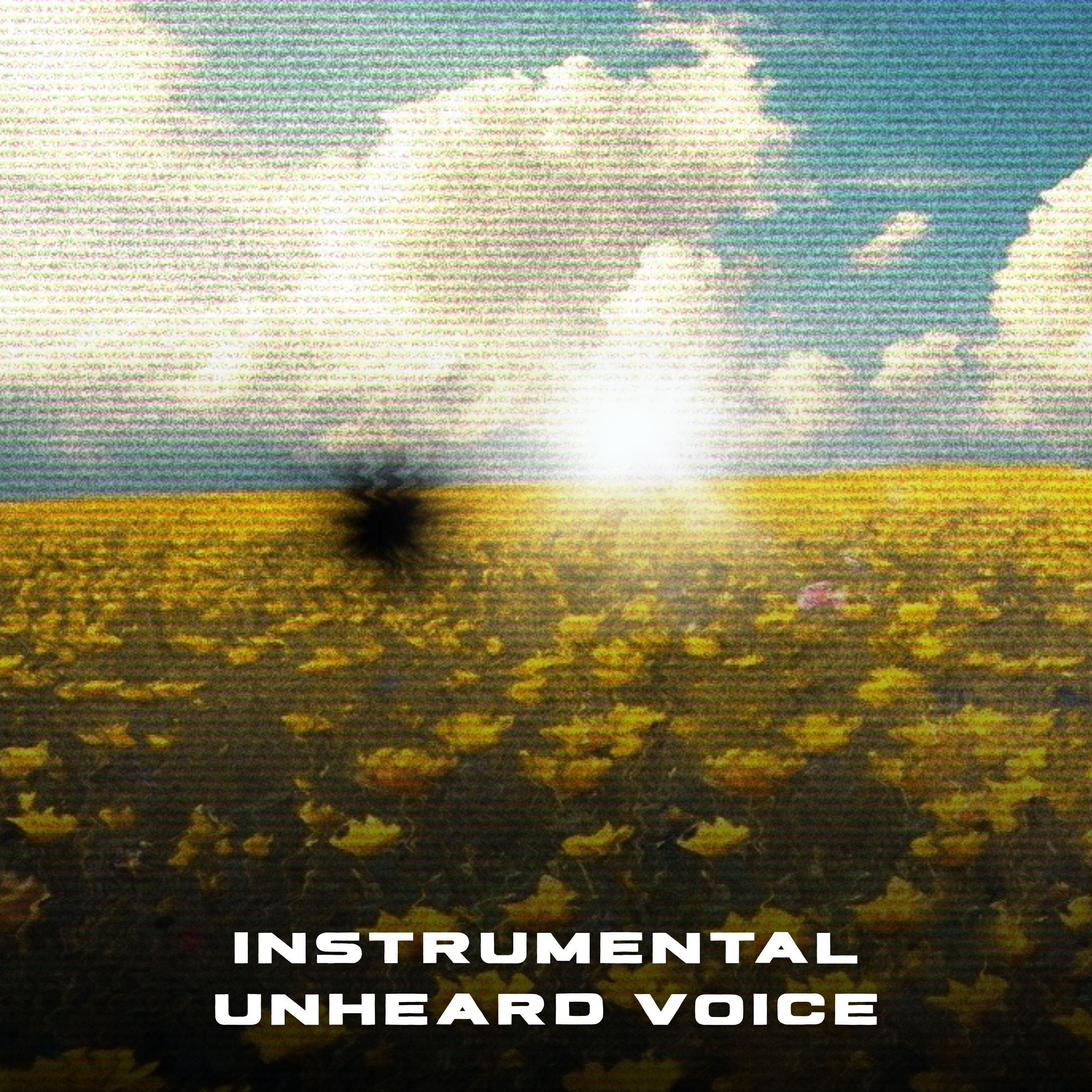 Unheard Voice (Instrumental Version)