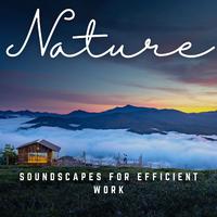 Productivity Rhythms: Soundscapes for Efficient Work