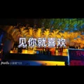 诛心泪 (DJ摇版)封面