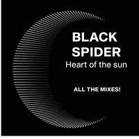 Heart of the sun (All the mixes)