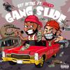 Bat Aktive - GANG SLIDE (feat. RUCCI)