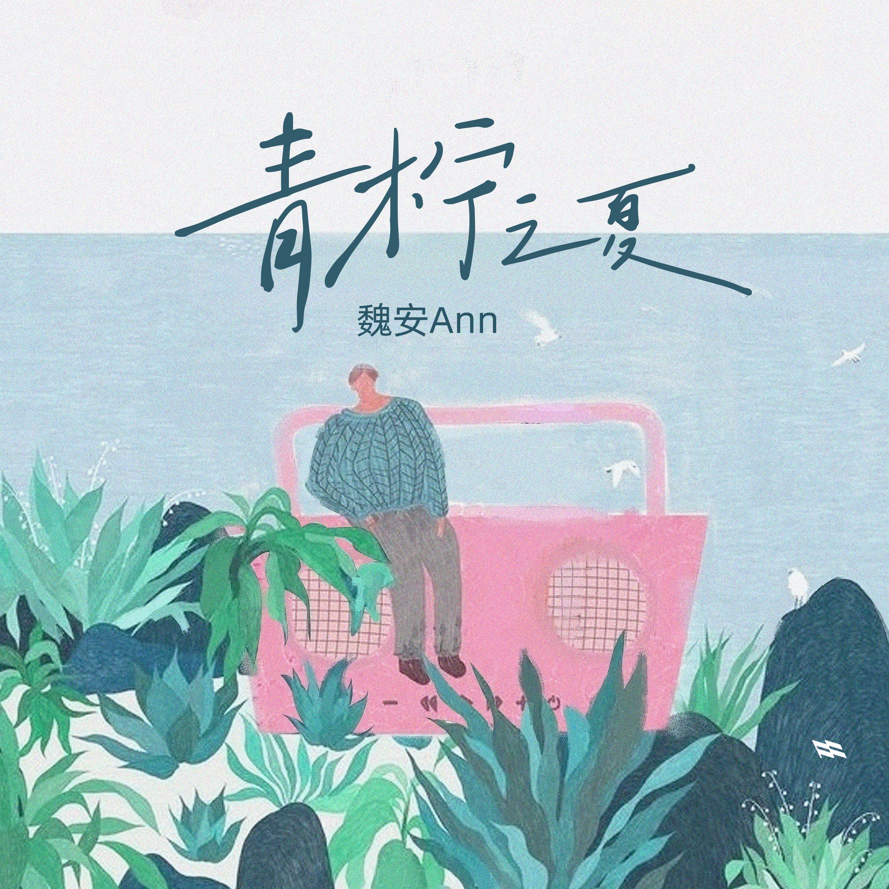 青柠之夏 (伴奏)封面