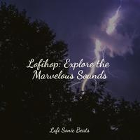 Lo-Fi Japan - Tangy Melodies in Sunlight