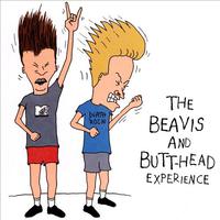 The Beavis and Butt-Head Experience