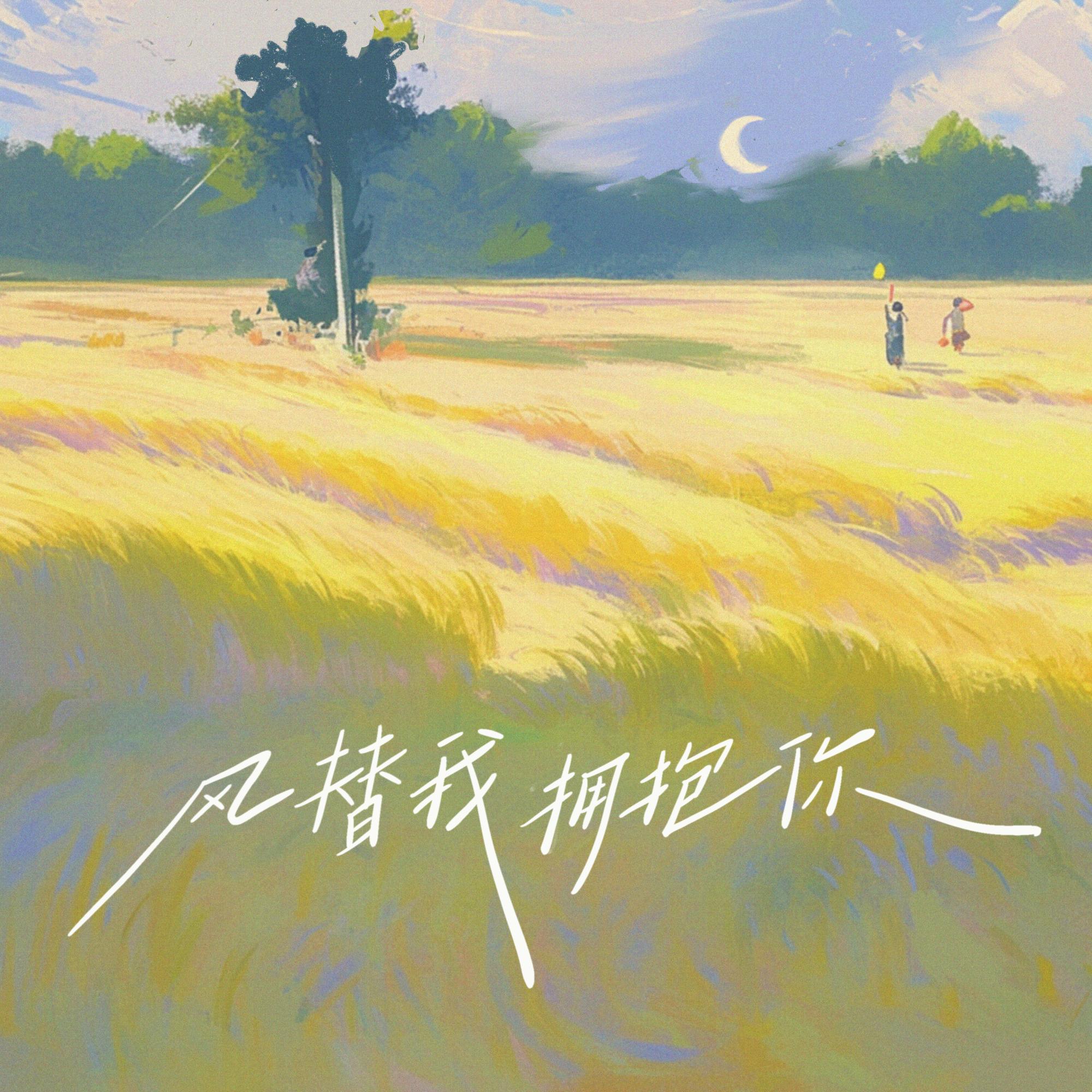 风替我拥抱你封面