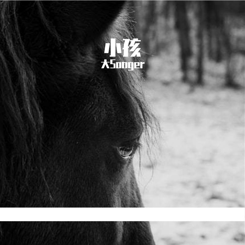 真我风采 - 大Songer封面