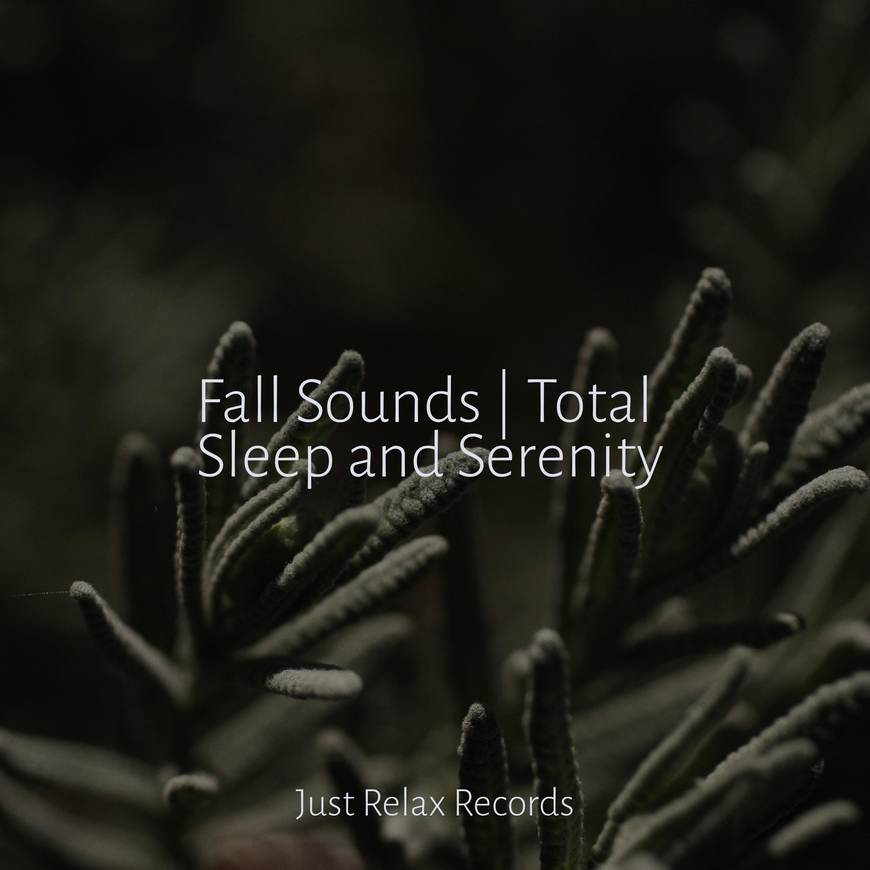 fall-sounds-total-sleep-and-serenity-relaxing-music